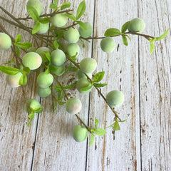 Fruchtgrüne Pflaume – Dekostück – 62cm