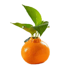 Keramikvase – Modernes Design – Verschiedene Grössen & Stile