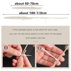 Pampasgras - Boho Natur - 80-120cm Vasendekor