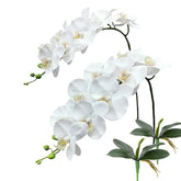 Künstliche Phalaenopsis Orchidee – Real Touch, 69cm