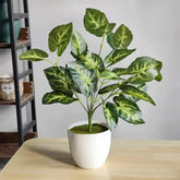 Künstliche Bonsai-Deko – Elegantes Design – 30cm