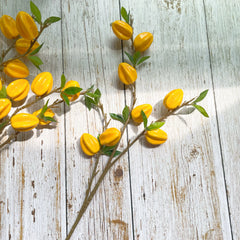 Sternfrucht Dekor – Modernes Wohnaccessoire – 62cm