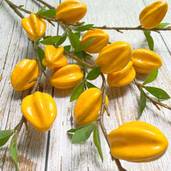 Sternfrucht Dekor – Modernes Wohnaccessoire – 62cm