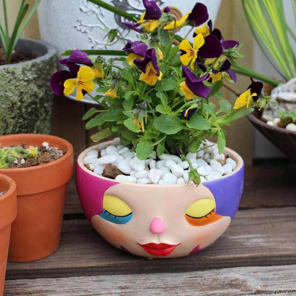 Bunter Harz Blumentopf – Modernes Gesicht Design Desktop