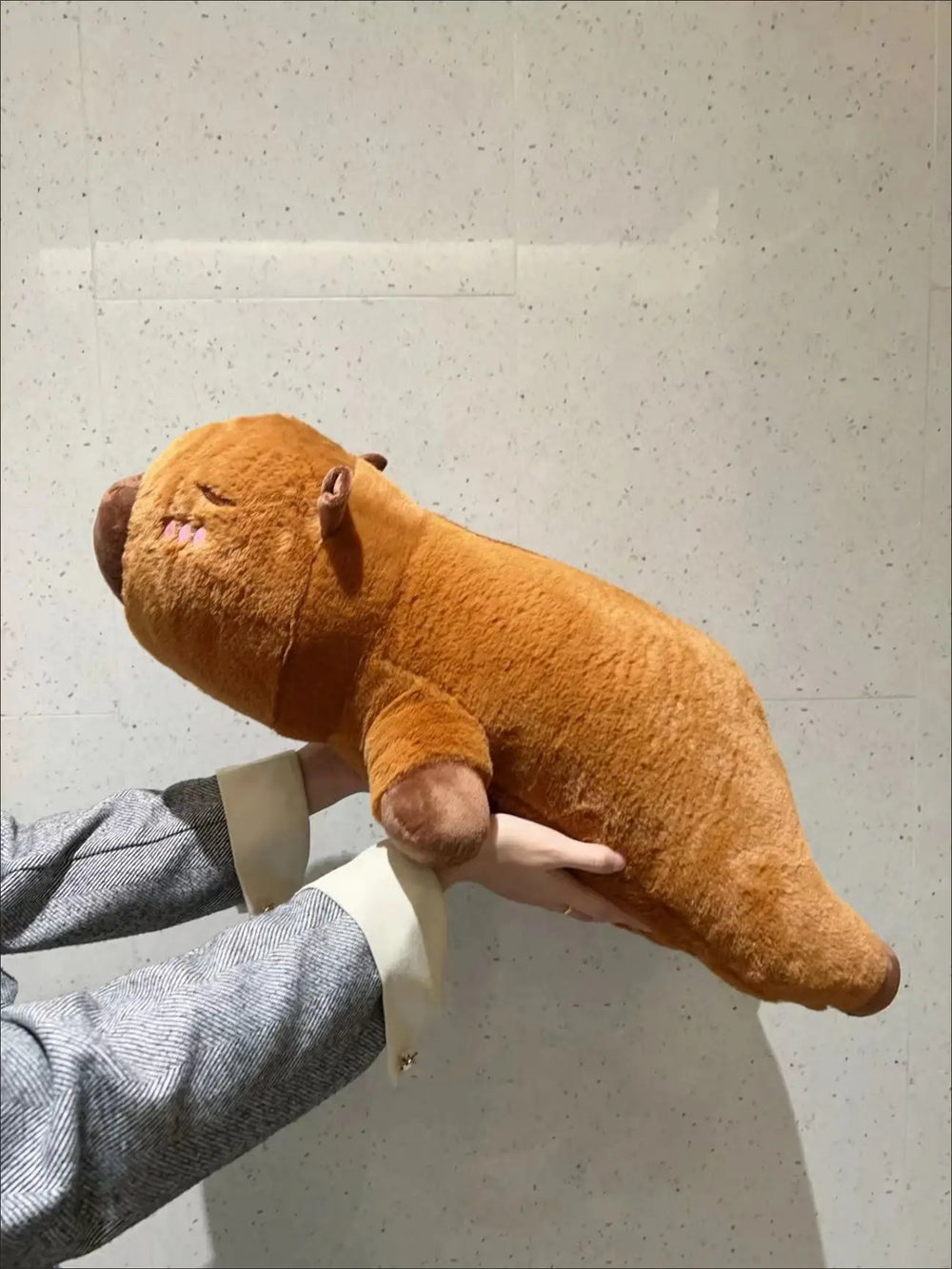 Capybara Plüschkissen – Plüsch, Weich – 65cm, 45cm, 85cm