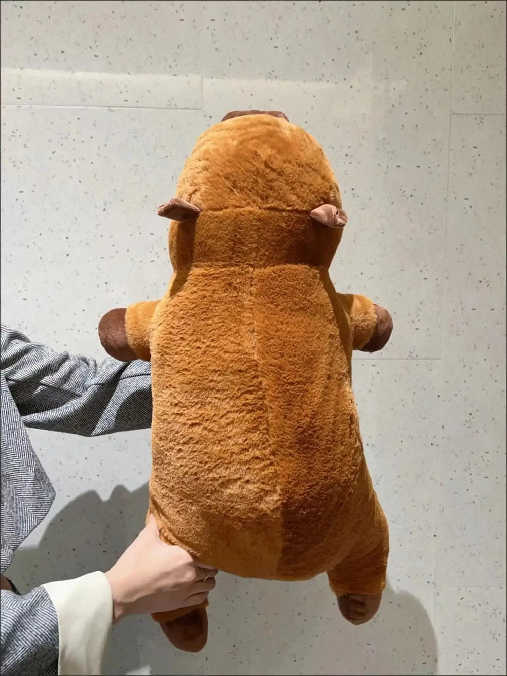 Capybara Plüschkissen – Plüsch, Weich – 65cm, 45cm, 85cm