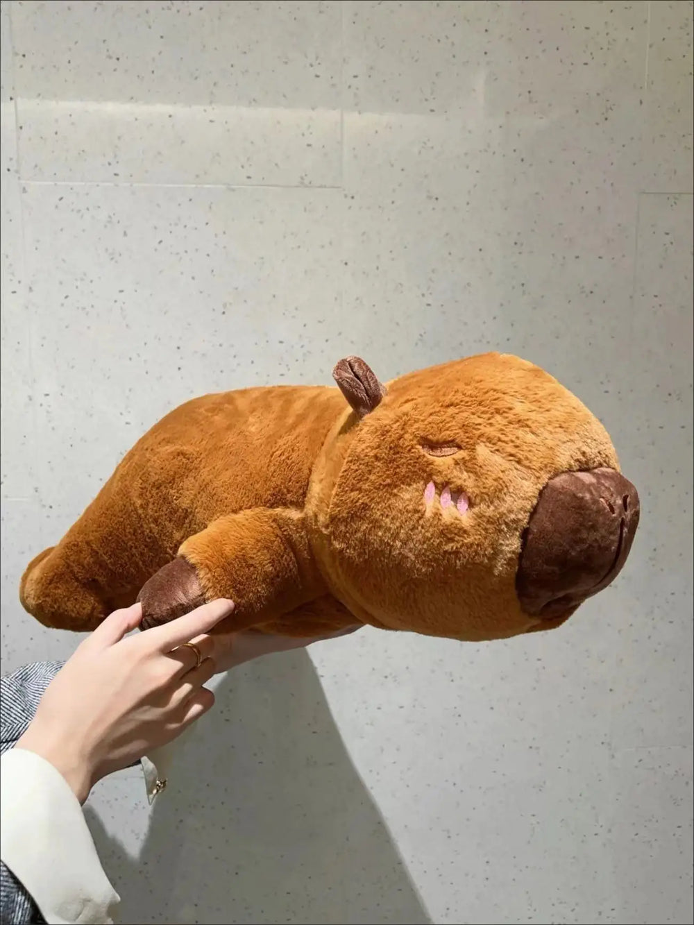 Capybara Plüschkissen – Plüsch, Weich – 65cm, 45cm, 85cm