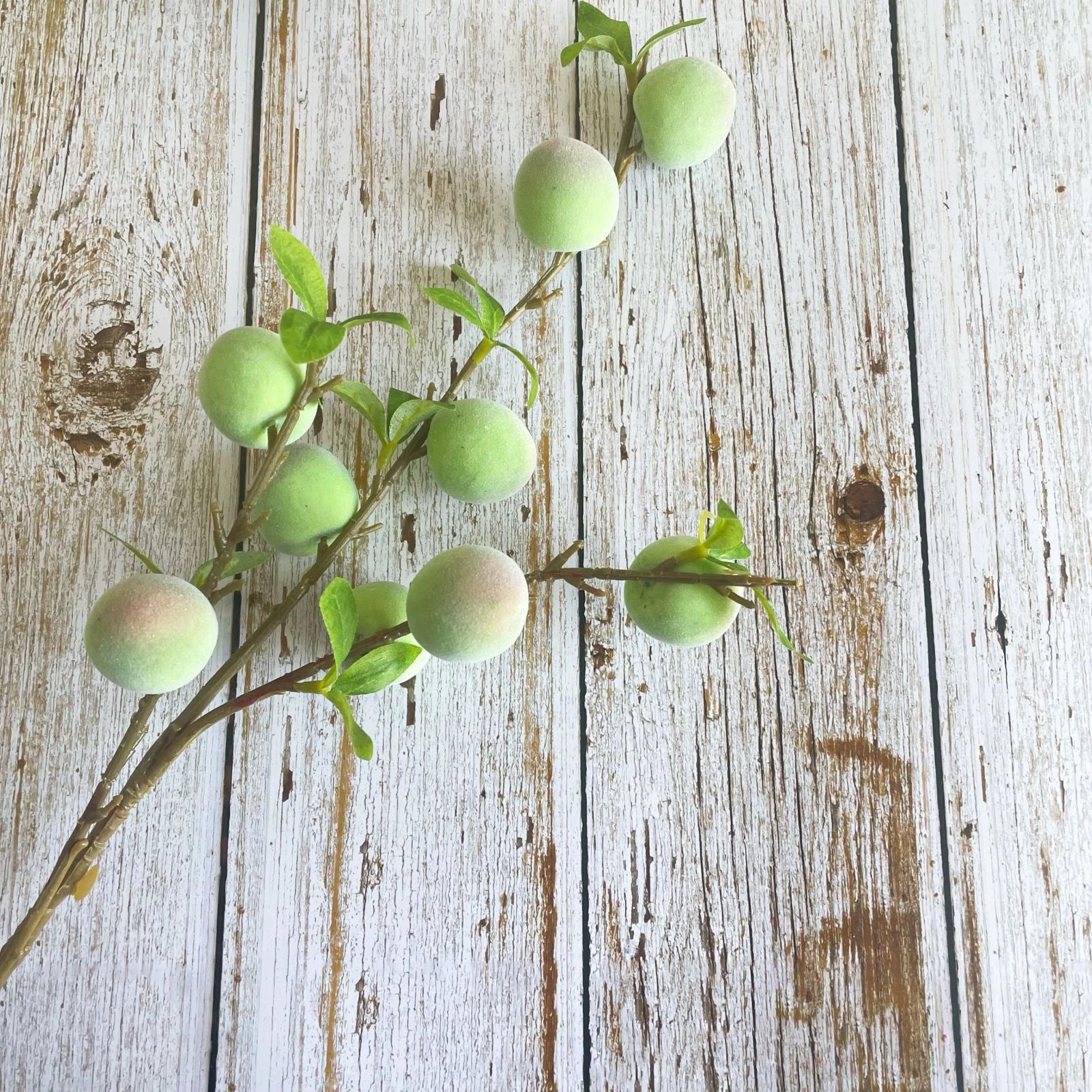 Fruchtgrüne Pflaume – Dekostück – 62cm