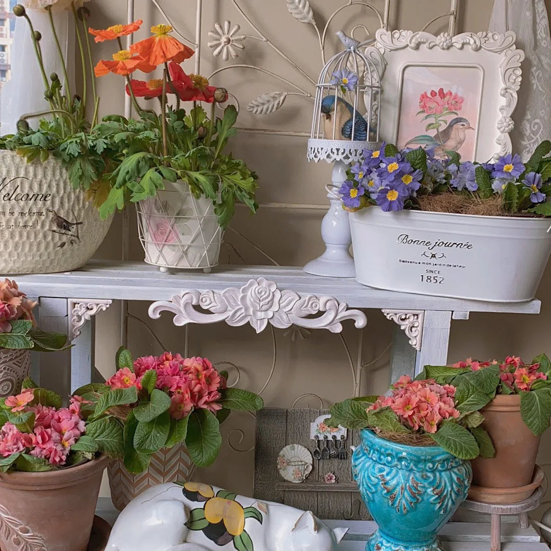 Holz-Zierleisten – Europäisches Design – Verschiedene Grössen