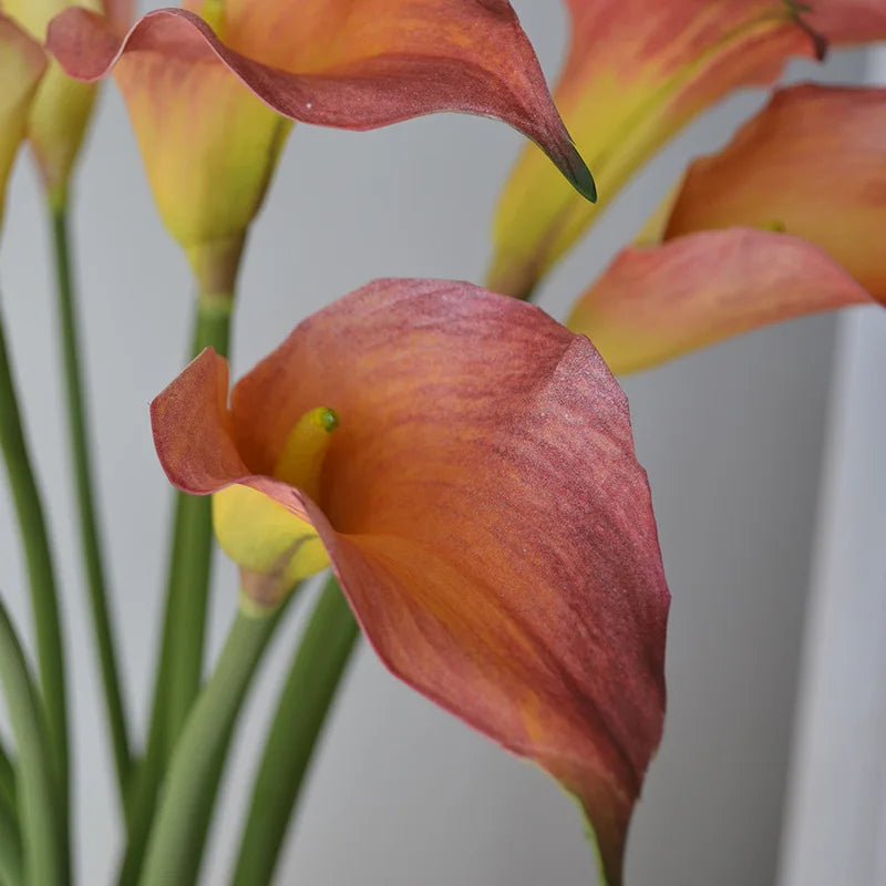 Künstliche Calla-Lilie – Eleganter Blütenzweig – 62cm Set