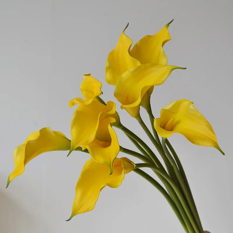 Künstliche Calla-Lilie – Eleganter Blütenzweig – 62cm Set