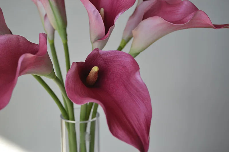 Künstliche Calla-Lilie – Eleganter Blütenzweig – 62cm Set