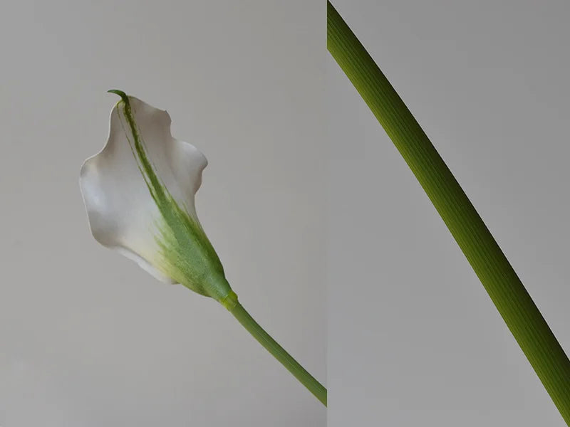 Künstliche Calla-Lilie – Eleganter Blütenzweig – 62cm Set