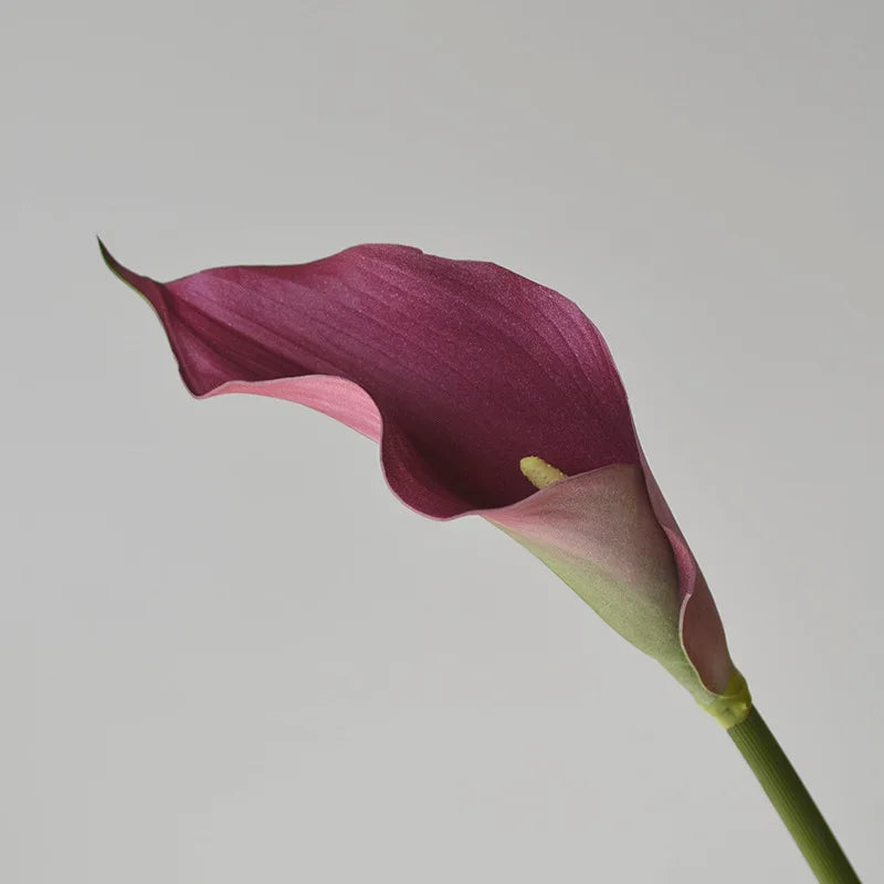 Künstliche Calla-Lilie – Eleganter Blütenzweig – 62cm Set