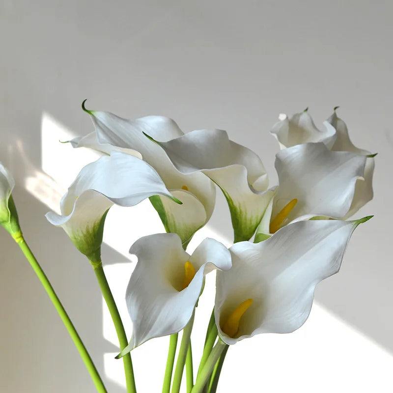 Künstliche Calla-Lilie – Eleganter Blütenzweig – 62cm Set