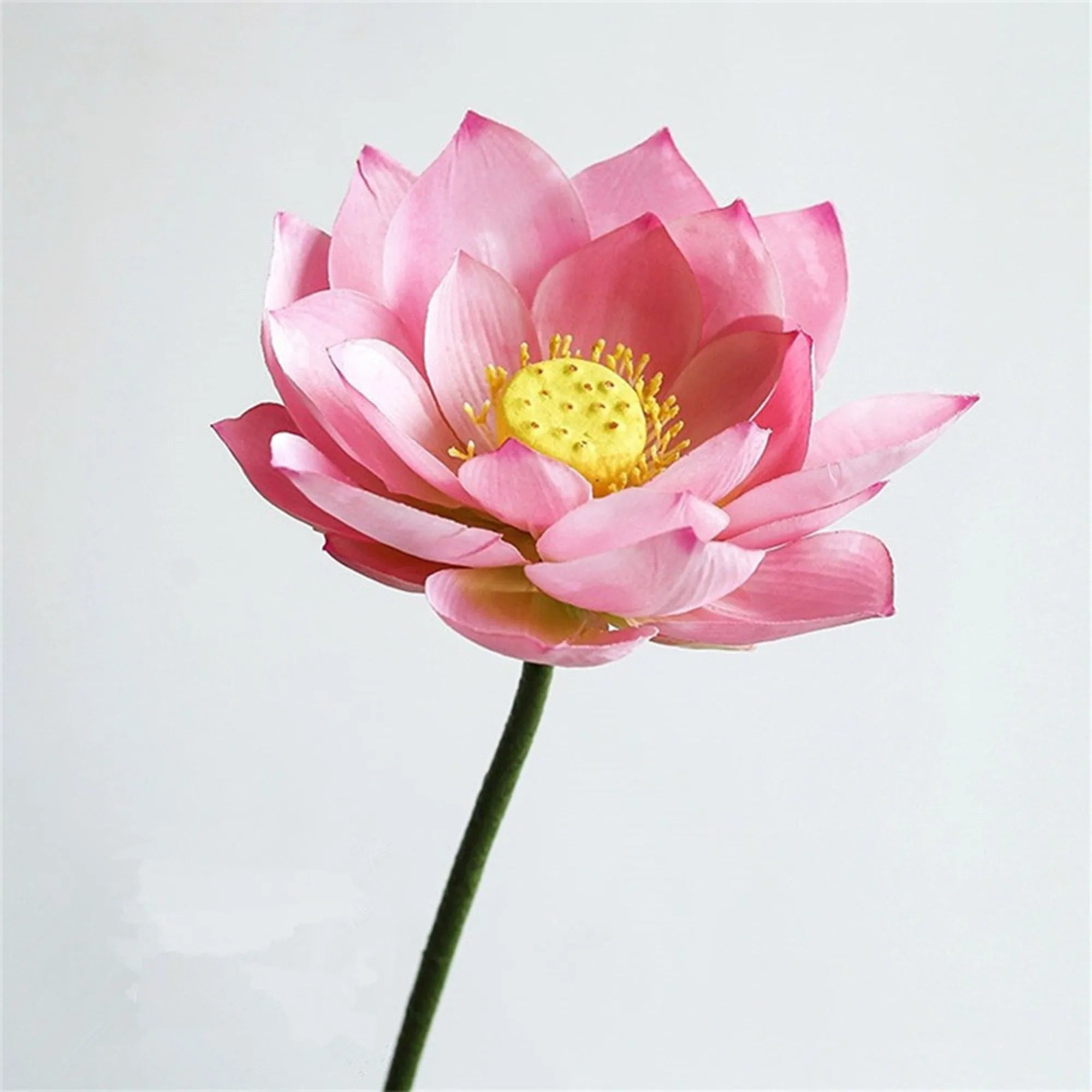 Künstliche Lotusblumen – Echtwirkendes Design – 83 cm