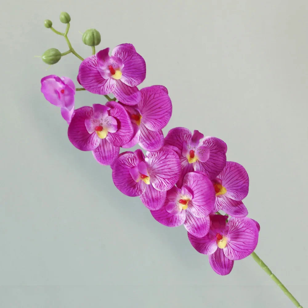 Künstliche Phalaenopsis Orchidee – Real Touch, 69cm