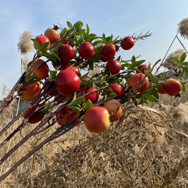 Künstlicher Granatapfelzweig – Schaum Design – 84cm Stil