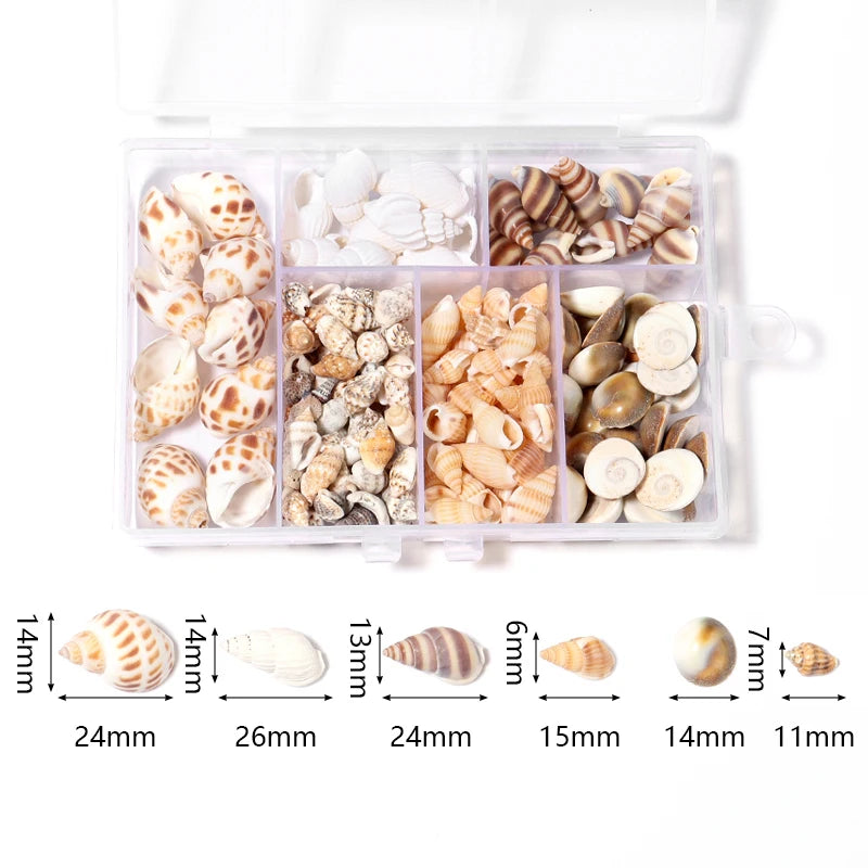 Ocean Spiral Seashells – Stilvolles Set für Wohnaccessoires