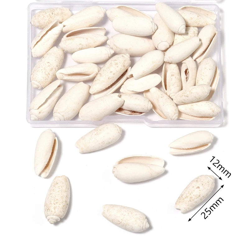 Ocean Spiral Seashells – Stilvolles Set für Wohnaccessoires