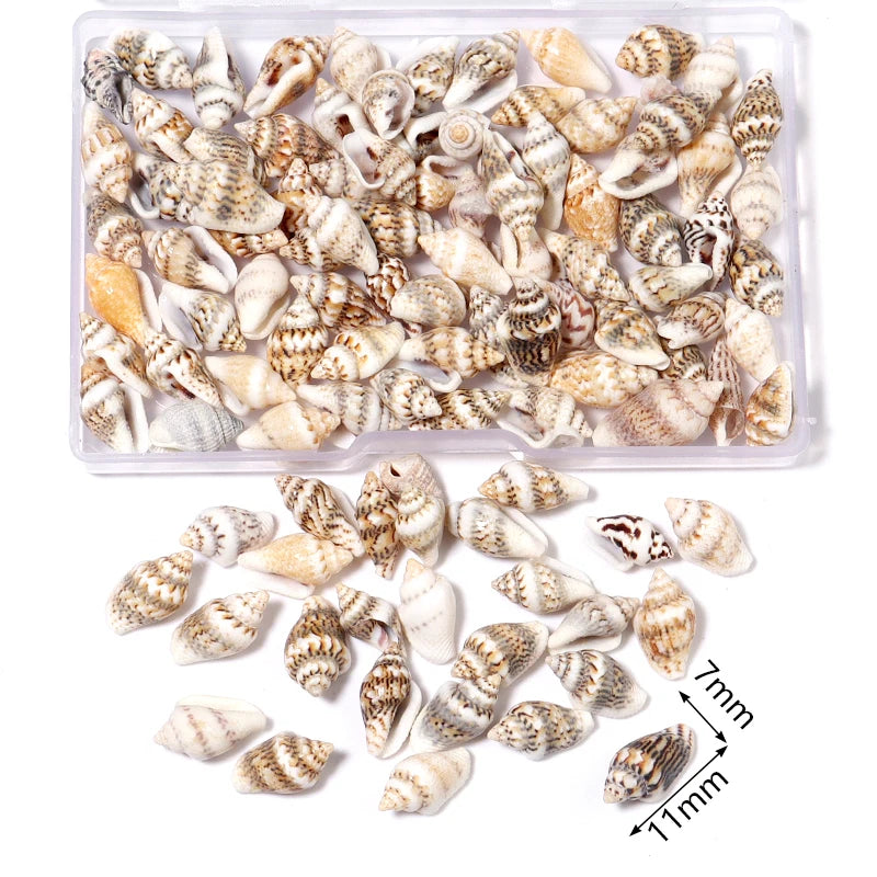 Ocean Spiral Seashells – Stilvolles Set für Wohnaccessoires
