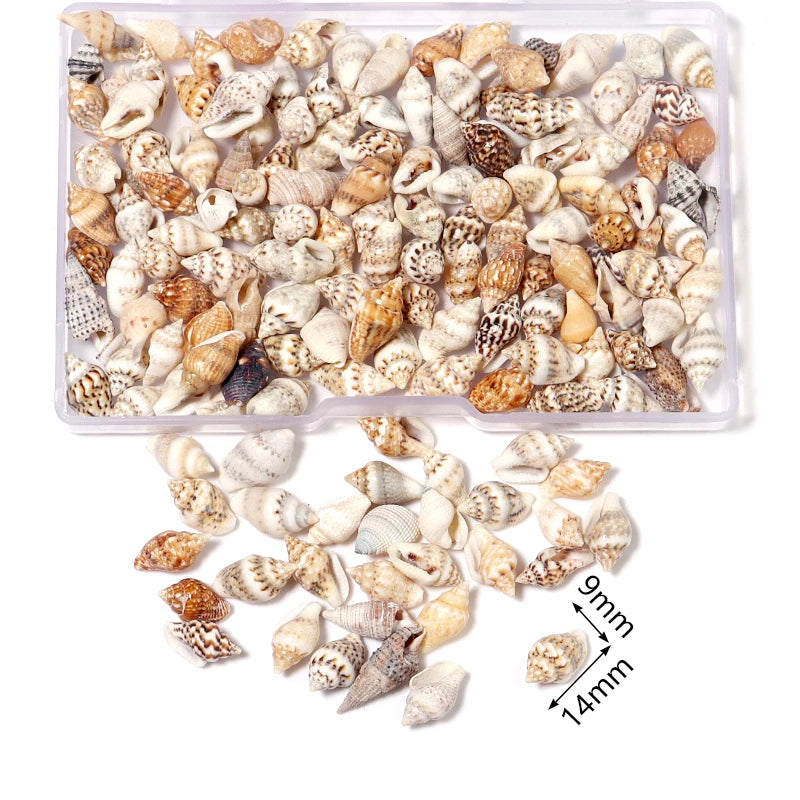 Ocean Spiral Seashells – Stilvolles Set für Wohnaccessoires