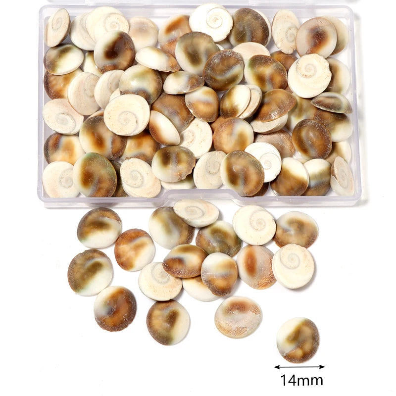 Ocean Spiral Seashells – Stilvolles Set für Wohnaccessoires