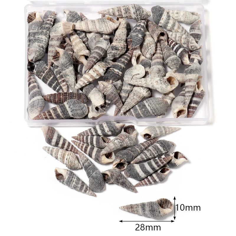 Ocean Spiral Seashells – Stilvolles Set für Wohnaccessoires