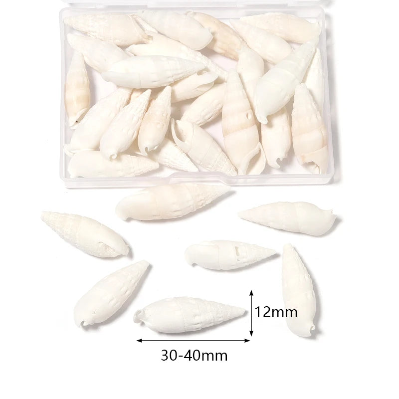 Ocean Spiral Seashells – Stilvolles Set für Wohnaccessoires