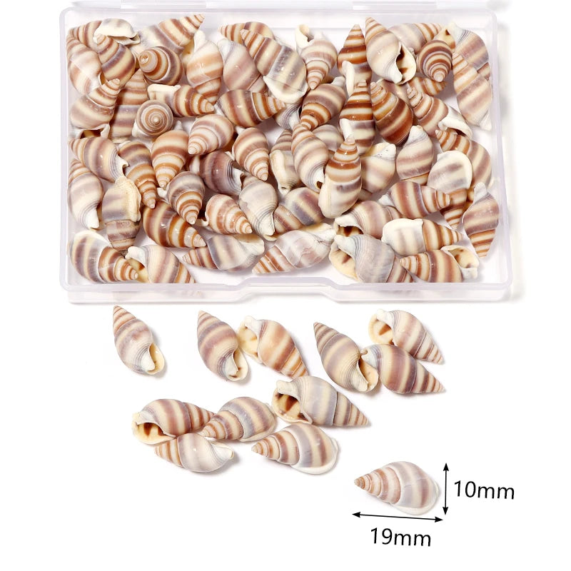 Ocean Spiral Seashells – Stilvolles Set für Wohnaccessoires