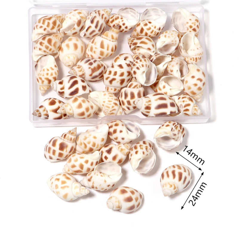 Ocean Spiral Seashells – Stilvolles Set für Wohnaccessoires