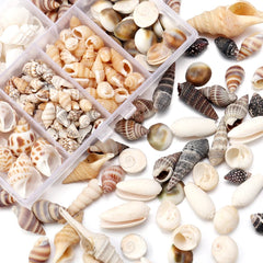Ocean Spiral Seashells – Stilvolles Set für Wohnaccessoires