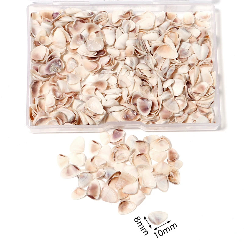 Ocean Spiral Seashells – Stilvolles Set für Wohnaccessoires