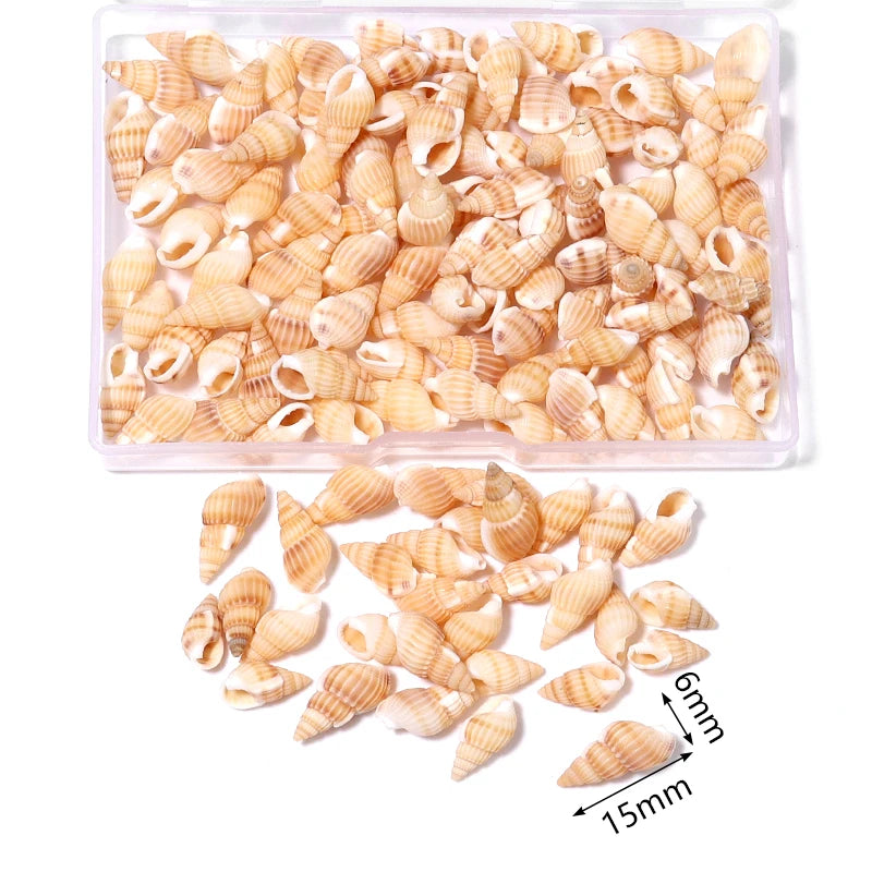 Ocean Spiral Seashells – Stilvolles Set für Wohnaccessoires