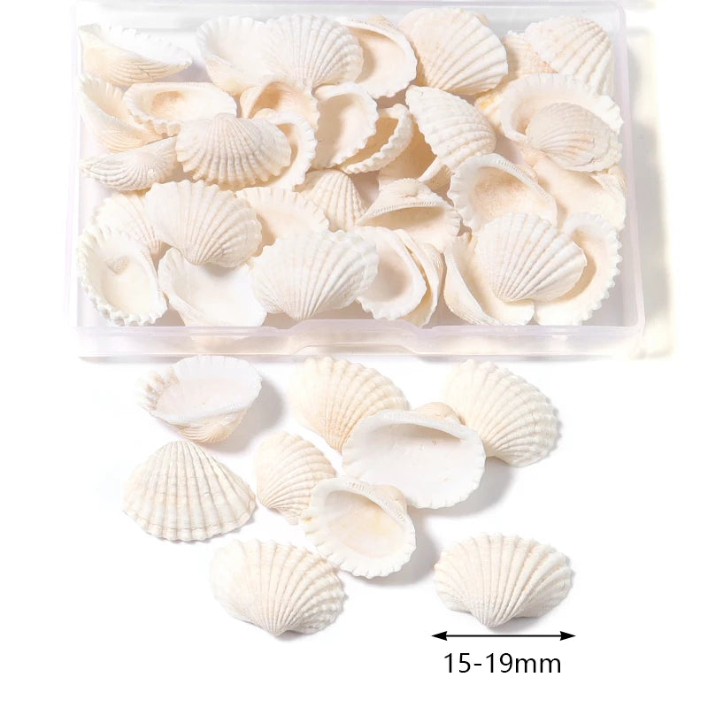 Ocean Spiral Seashells – Stilvolles Set für Wohnaccessoires
