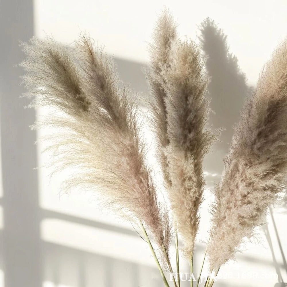 Pampasgras - Boho Natur - 80-120cm Vasendekor