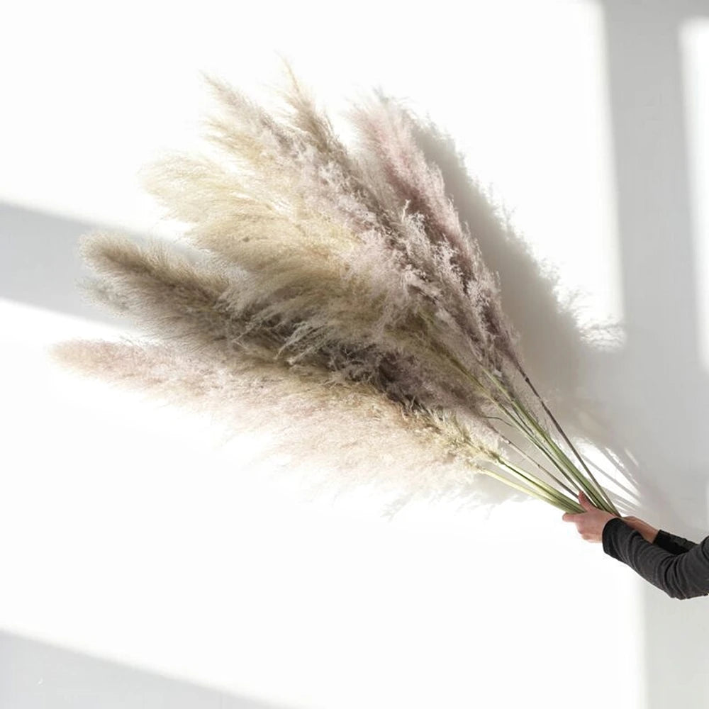 Pampasgras - Boho Natur - 80-120cm Vasendekor