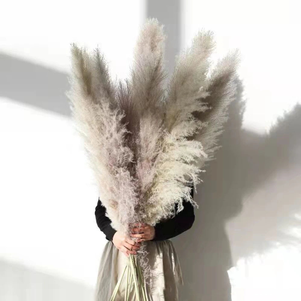 Pampasgras - Boho Natur - 80-120cm Vasendekor