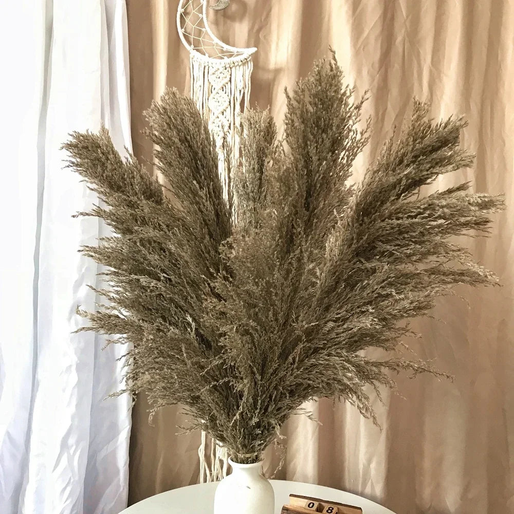 Pampasgras - Boho Natur - 80-120cm Vasendekor