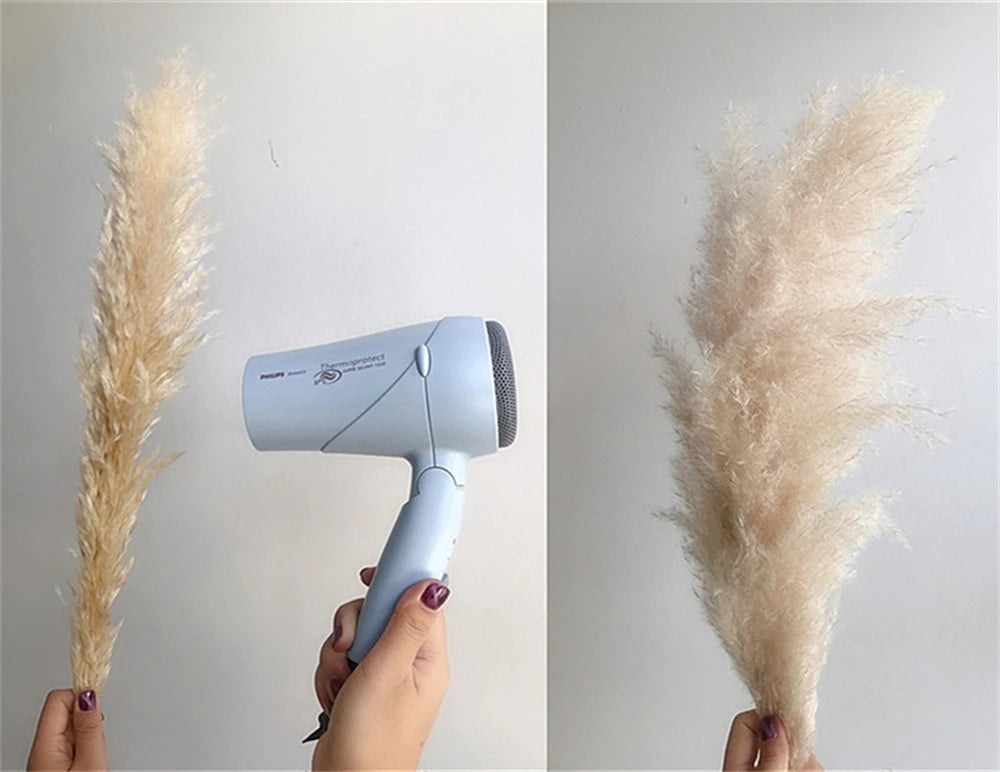 Pampasgras - Boho Natur - 80-120cm Vasendekor