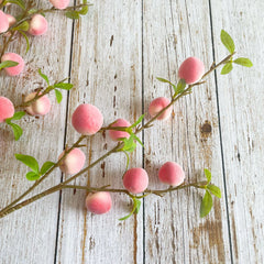 Pfirsich-Schaumbouquet – Dekorativ, Innenbereich