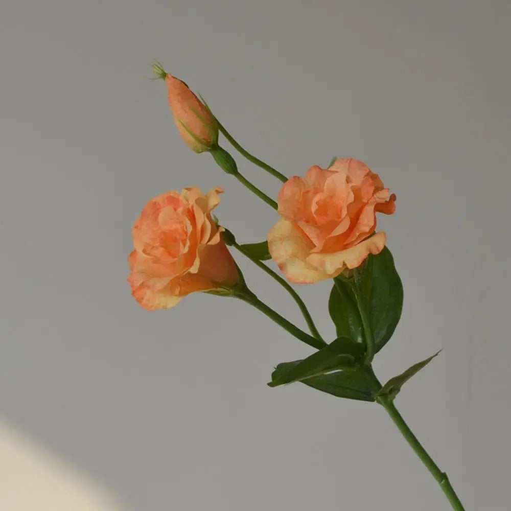 Real Touch Seiden-Lisianthus Bouquet – Innendekor