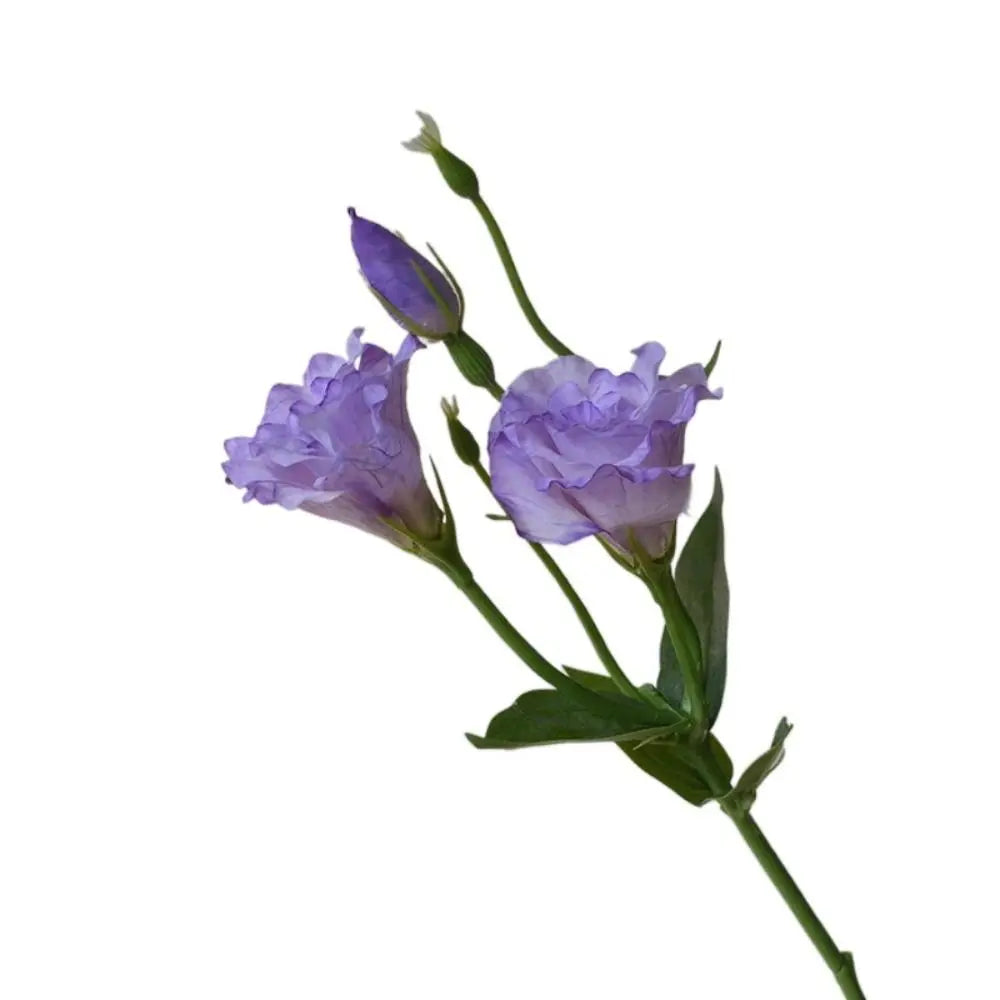 Real Touch Seiden-Lisianthus Bouquet – Innendekor