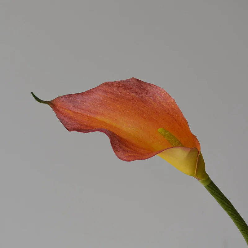 Künstliche Calla-Lilie – Eleganter Blütenzweig – 62cm Set