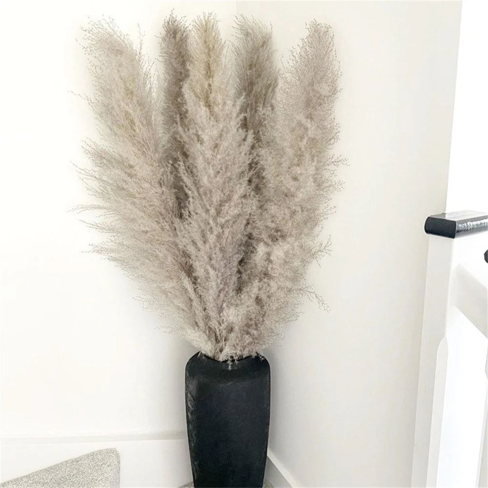 Pampasgras - Boho Natur - 80-120cm Vasendekor