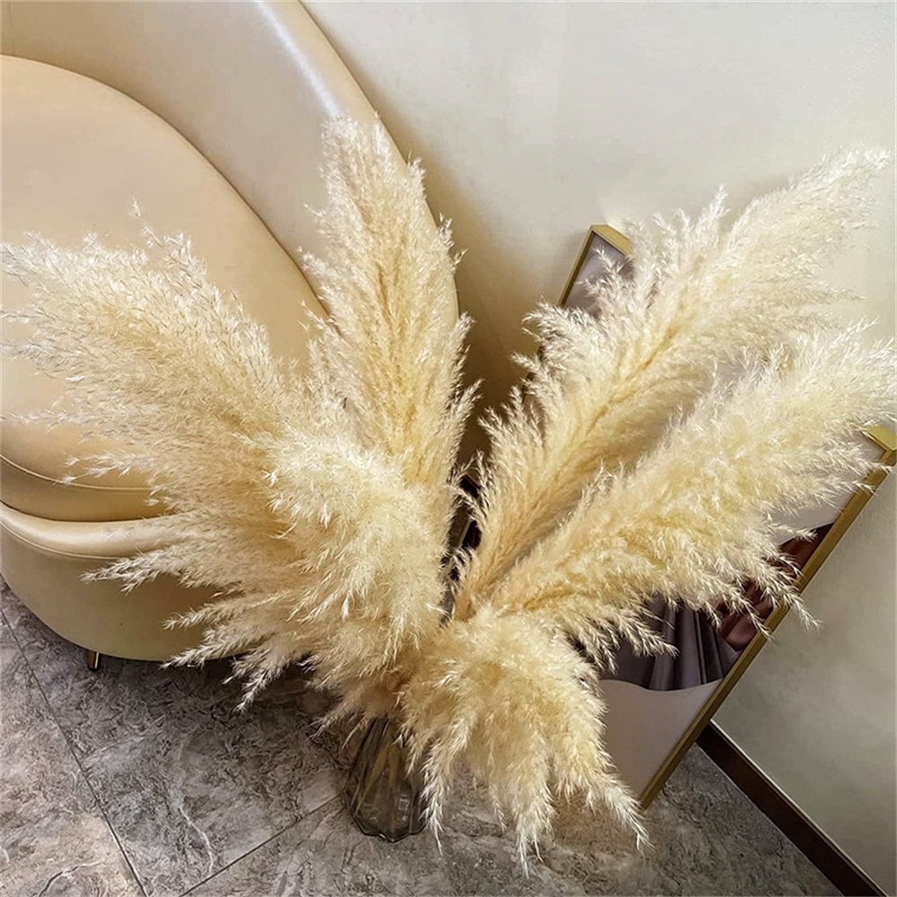 Pampasgras - Boho Natur - 80-120cm Vasendekor