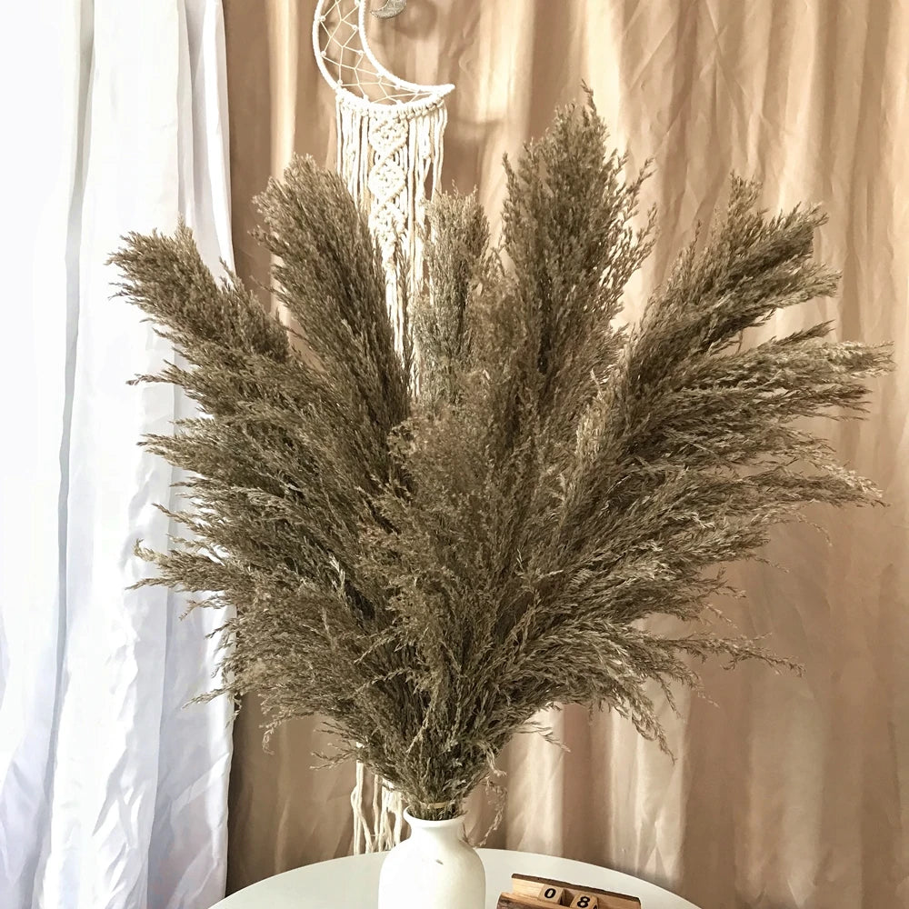Pampasgras - Boho Natur - 80-120cm Vasendekor