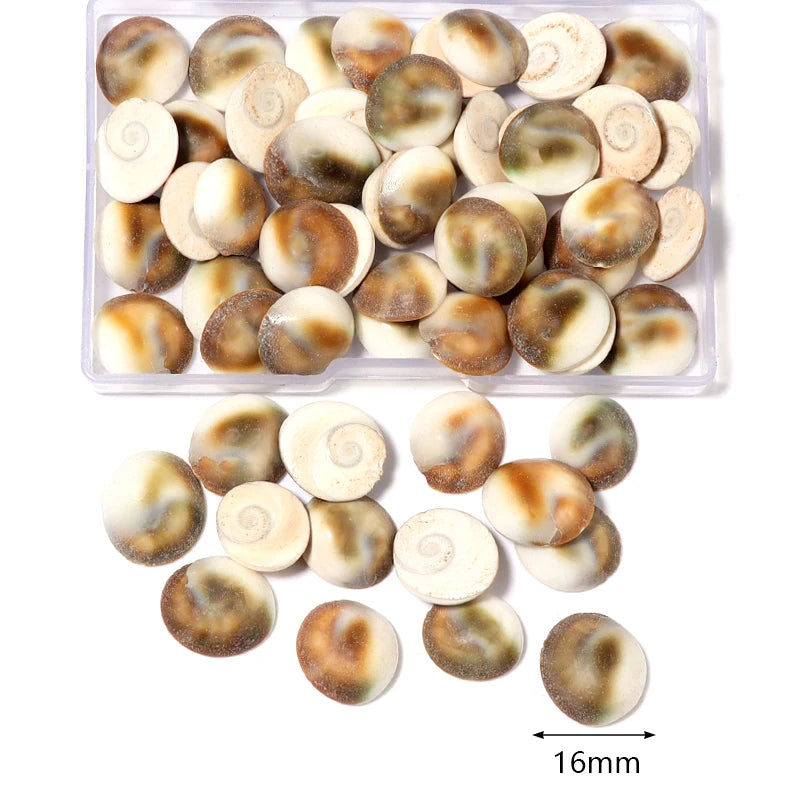 Ocean Spiral Seashells – Stilvolles Set für Wohnaccessoires