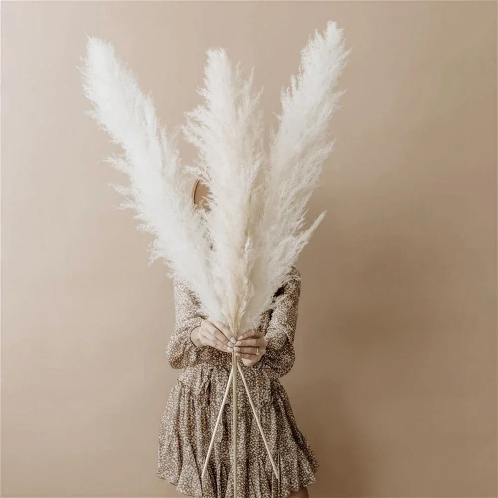 Pampasgras - Boho Natur - 80-120cm Vasendekor