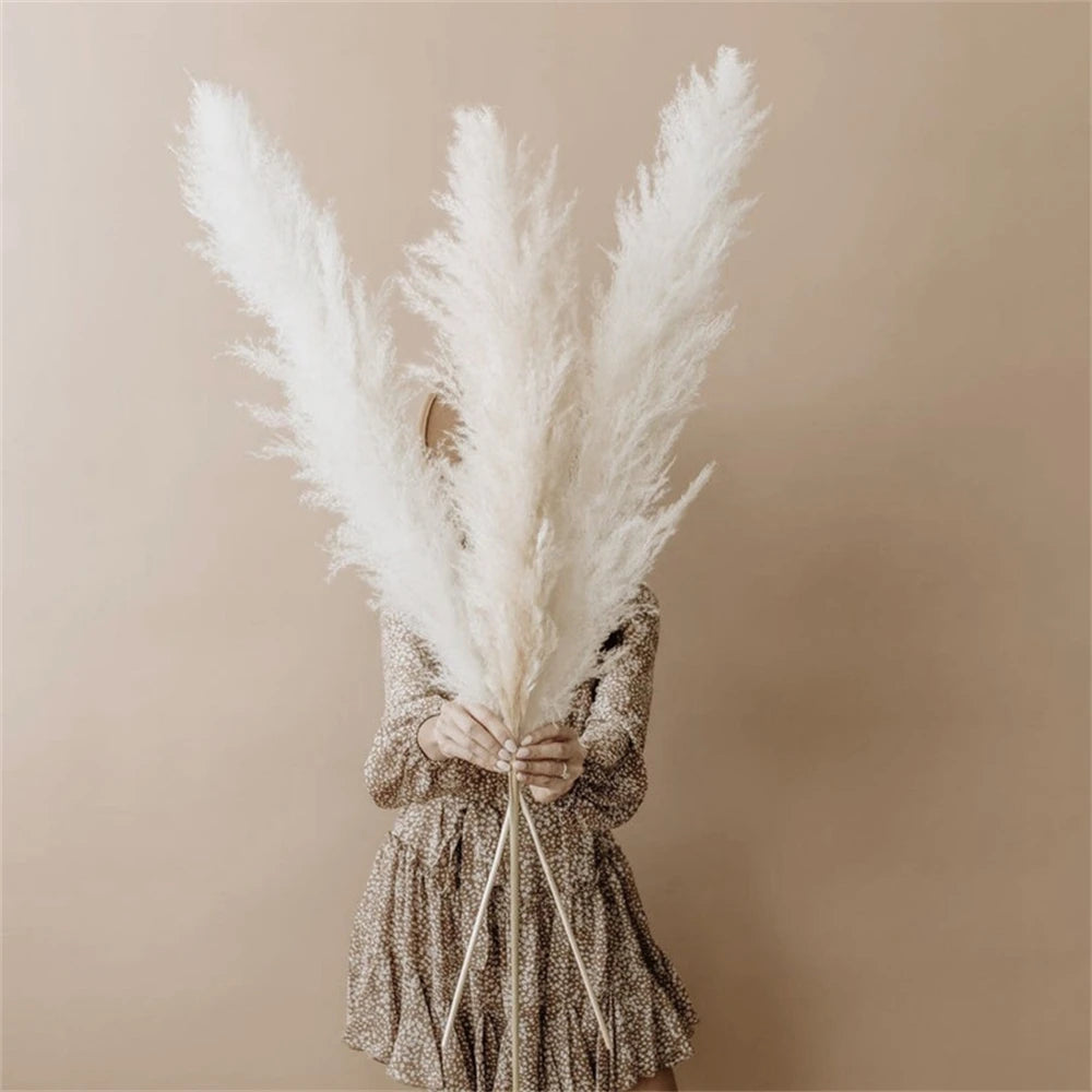 Pampasgras - Boho Natur - 80-120cm Vasendekor